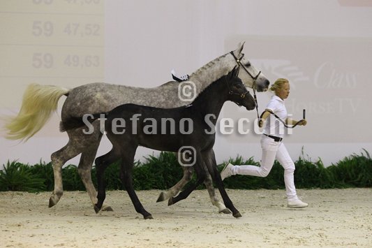 CA D ORO_MILANO_2010_SS3_3899.jpg